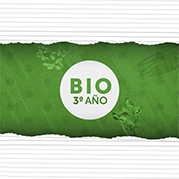Bio